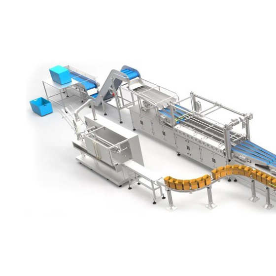 全自動(dòng)理料裝盒裝箱包裝線